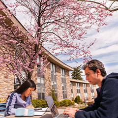 Photo of students studying outside. Link to Gifts of Appreciated Securities Photo of students studying outside. Link to Gifts of Appreciated Securities